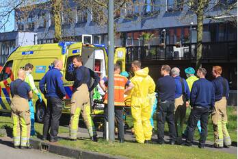 nieuws zeelt amersfoort