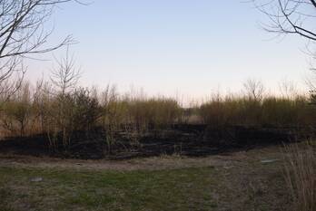 brand hageweg bruinisse