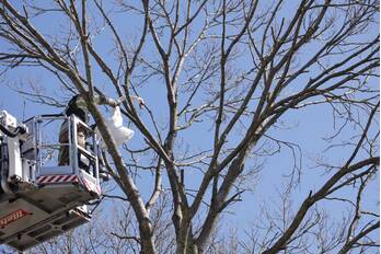 nieuws röntgenweg bunschoten-spakenburg