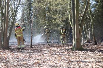 brand zeelandsedijk langenboom