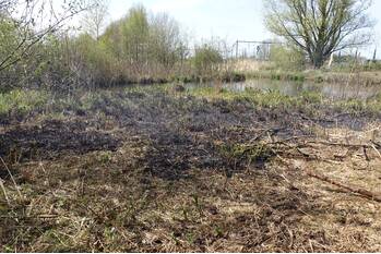 brand telemannpad gouda