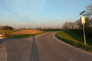 nieuws maasdijk hedel