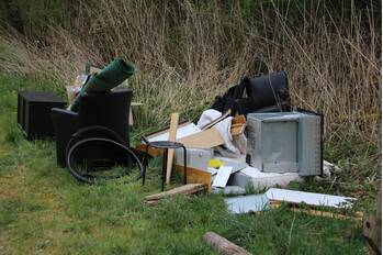 nieuws kwikstaartpad almere