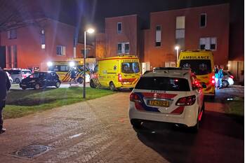 nieuws morel wageningen