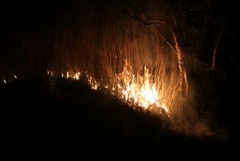 brand dokter hoolboomweg de klomp