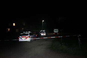 steekincident nieuwenhuizen sint-oedenrode