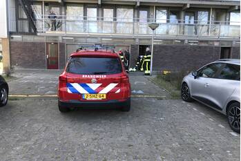 nieuws de hooidollen leeuwarden