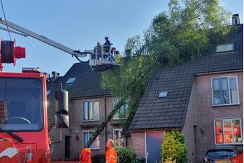 nieuws vlasakker zoetermeer