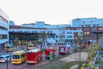 nieuws willy brandtlaan ede