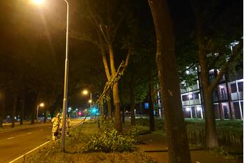 nieuws rijksweg - n224 ede