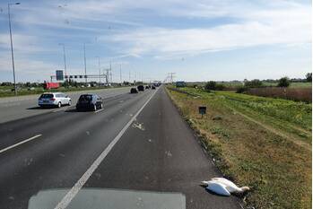 nieuws rijksweg a2 breukelen