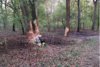 nieuws oudeweg hulshorst