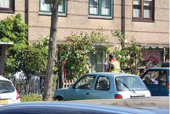 nieuws bottalijn zoetermeer