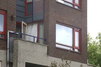 nieuws honingzwam veenendaal