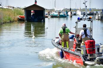 nieuws oostvaardersdijk lelystad