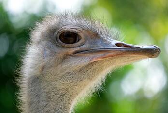 nieuws kiotoweg rotterdam
