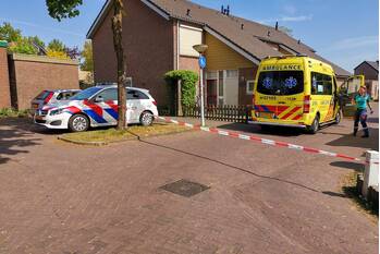 nieuws esdoorndreef renkum
