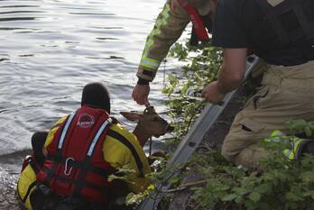 nieuws kanaaldijk noord son en breugel