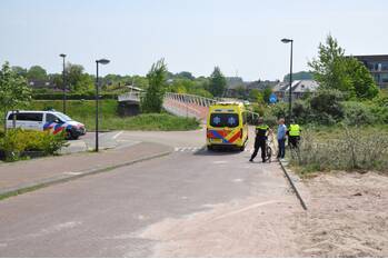ongeval vliegent hert lelystad