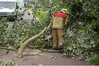 nieuws lage limiet rotterdam