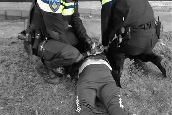 nieuws w.h. vliegenstraat schiedam