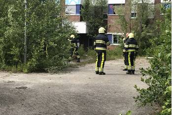 brand brandemeer leeuwarden