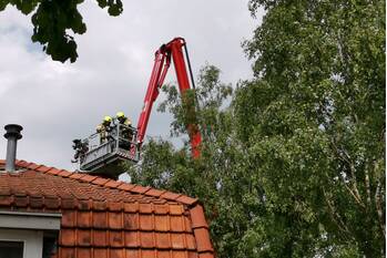 nieuws bettekamp ede