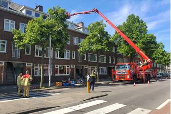 nieuws franselaan rotterdam