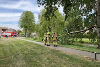 nieuws goudenstein barneveld