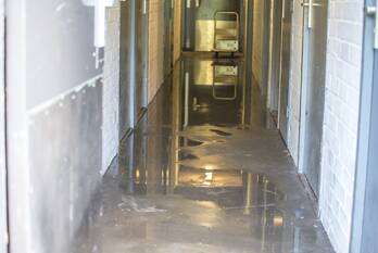 nieuws zuideinde volendam