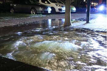 waterlekkage jan steenlaan veenendaal