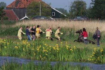 nieuws middel westzaan