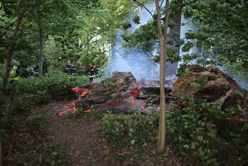 brand rijnsburgerweg voorhout