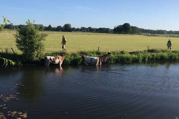 nieuws plaggenmeierslaan voorthuizen