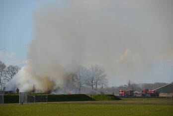 brand remswerderleane wolsum