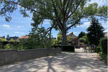 nieuws groen van prinstererlaan barneveld