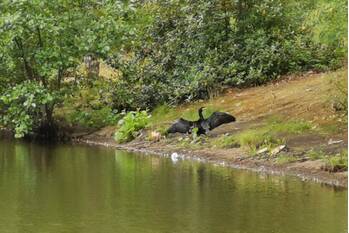 nieuws kierkamperweg - n782 bennekom