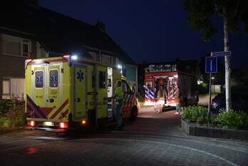 nieuws ribes poortugaal