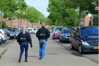 nieuws sikkelkruid amersfoort