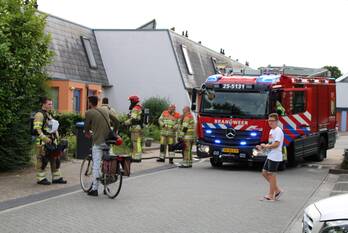 nieuws wold 15 lelystad