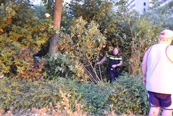 ongeval bernweg vlaardingen