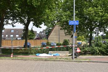 nieuws carry van bruggensingel rotterdam