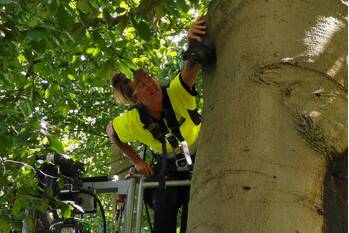 natuur doolhoflaan ede