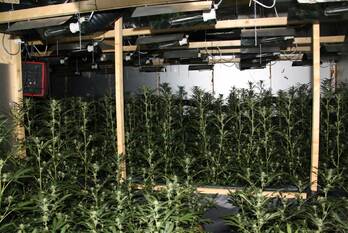 nieuws lidwinahof schijndel