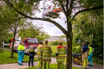 ongeval griffensteijnselaan zeist