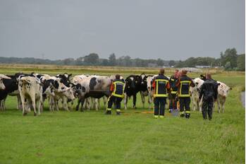 nieuws nieuweweg leiderdorp
