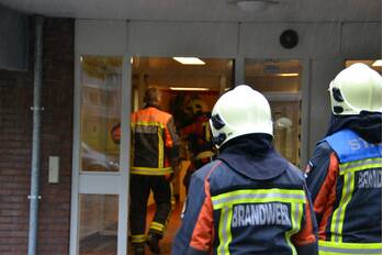 nieuws roodborststraat leiderdorp