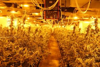 nieuws topaasstraat ede