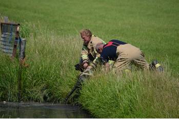 natuur imkerstraat berkel en rodenrijs