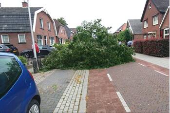 nieuws tabaksgaarden rijssen